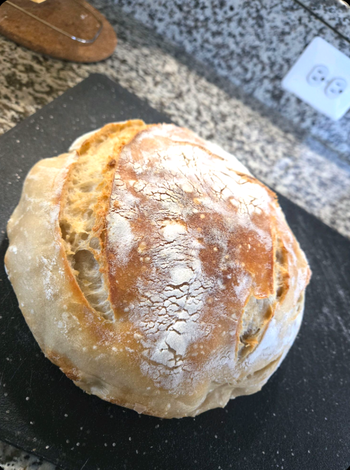 Freshly baked classic sourdough loaf