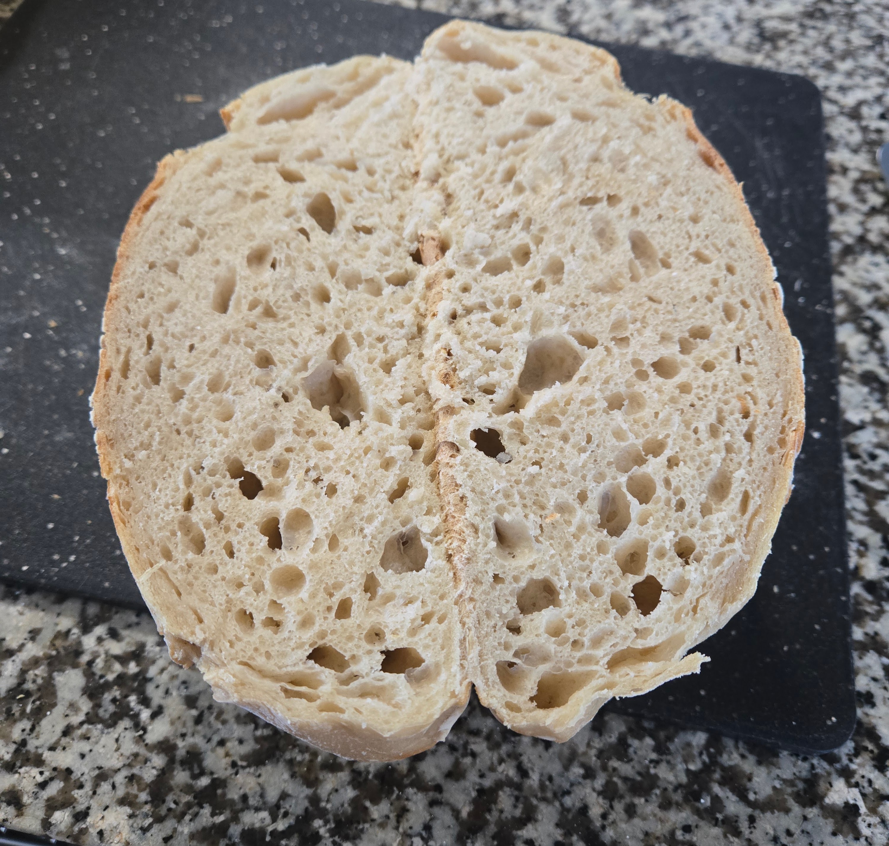 Classic sourdough, sliced